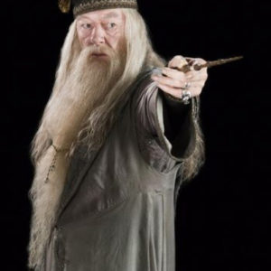 Harry Potter Dumbledore Professeur Albus Dumbledore Perruque+Barbe