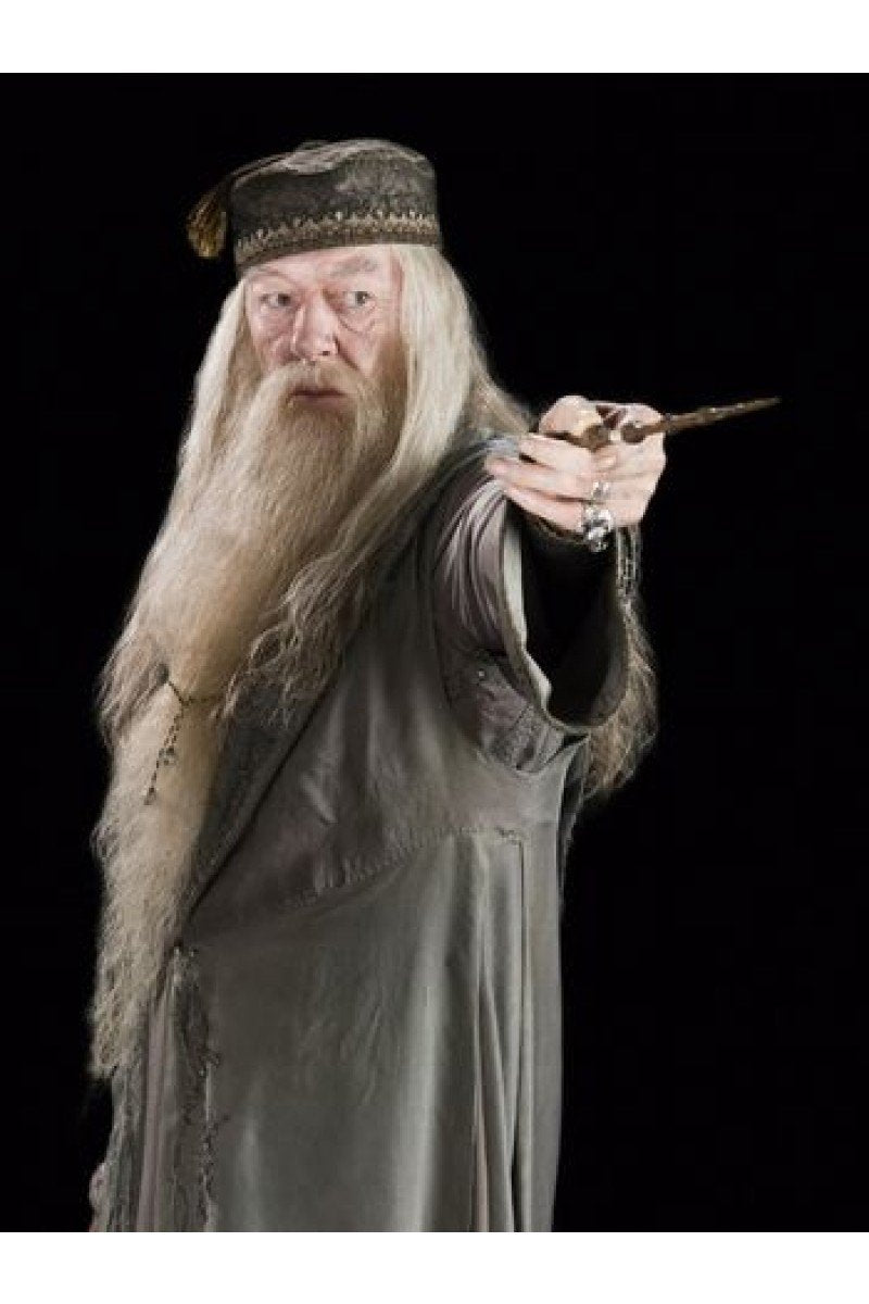 Harry Potter Dumbledore Professeur Albus Dumbledore Perruque+Barbe